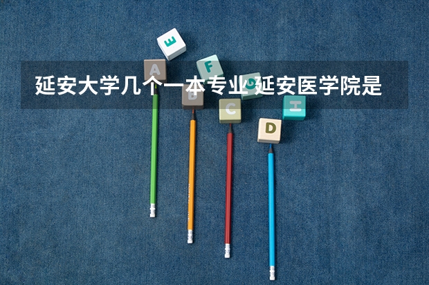 延安大学几个一本专业 延安医学院是几本大学