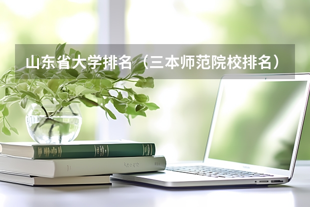 山东省大学排名（三本师范院校排名）