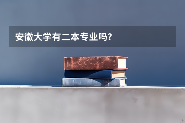 安徽大学有二本专业吗？