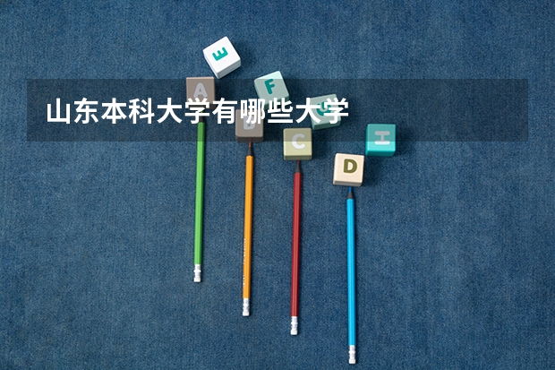 山东本科大学有哪些大学