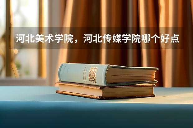河北美术学院，河北传媒学院哪个好点，，