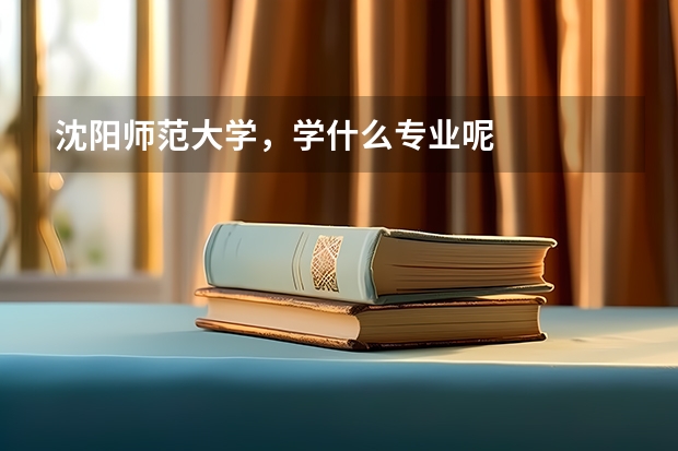 沈阳师范大学，学什么专业呢
