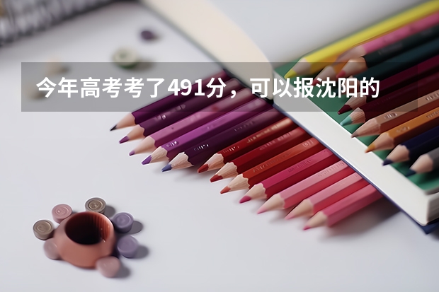 今年高考考了491分，可以报沈阳的什么学校？