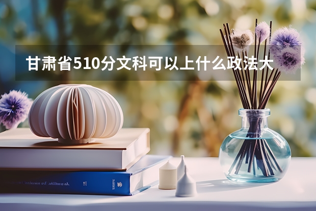 甘肃省510分文科可以上什么政法大学？