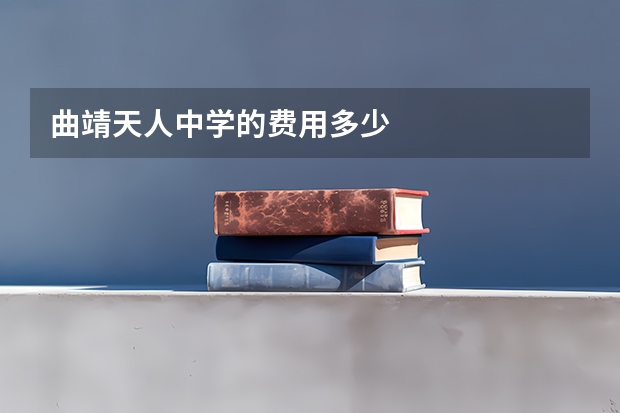曲靖天人中学的费用多少