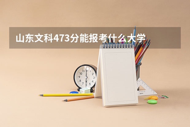 山东文科473分能报考什么大学