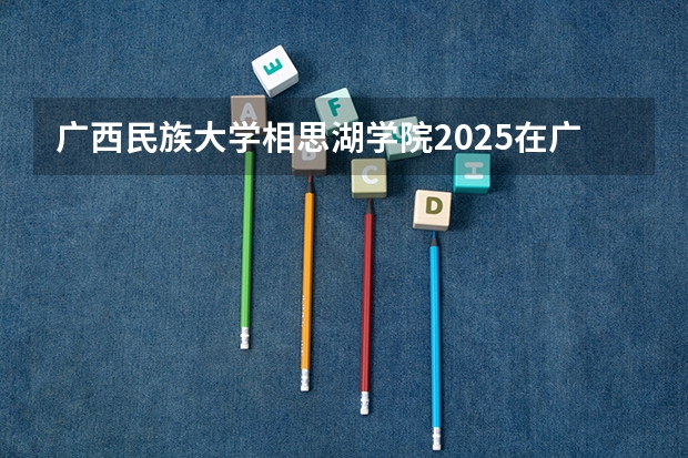 广西民族大学相思湖学院2025在广东招生计划