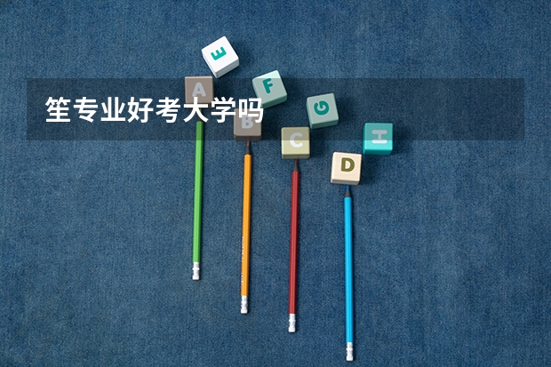 笙专业好考大学吗