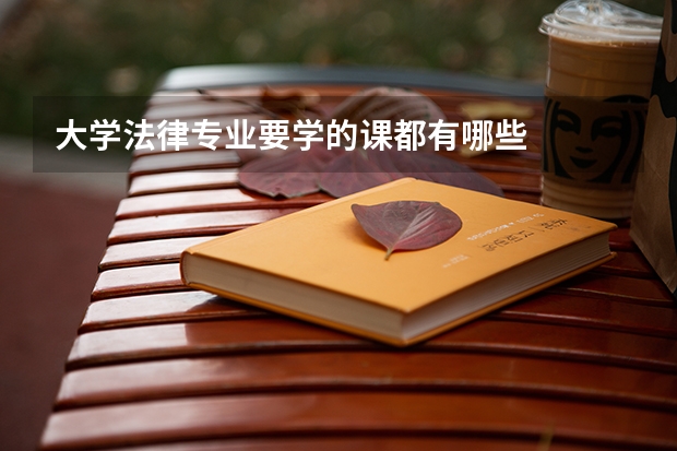 大学法律专业要学的课都有哪些