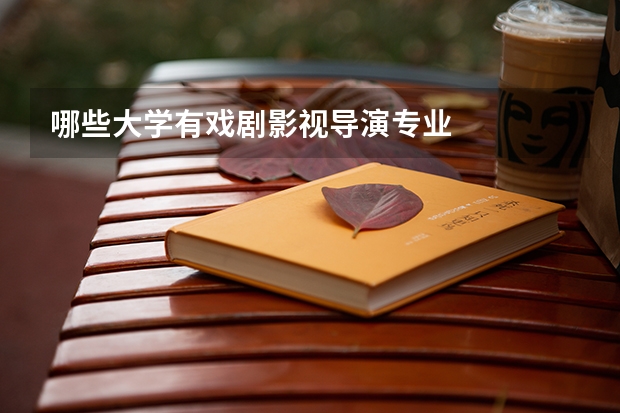 哪些大学有戏剧影视导演专业