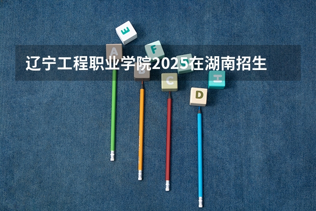 辽宁工程职业学院2025在湖南招生计划