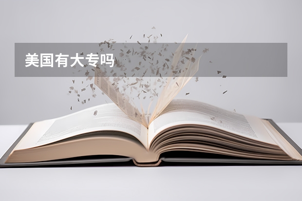 美国有大专吗