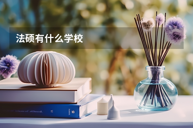 法硕有什么学校