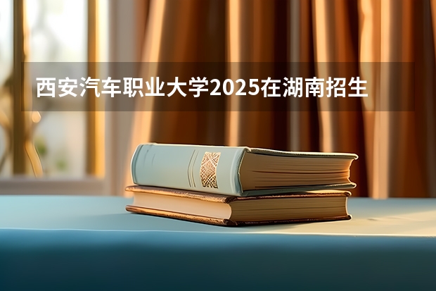 西安汽车职业大学2025在湖南招生计划