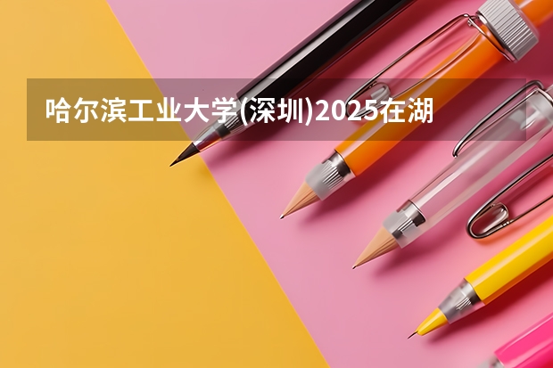 哈尔滨工业大学(深圳)2025在湖南招生计划