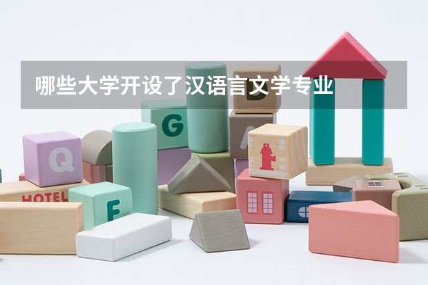 哪些大学开设了汉语言文学专业
