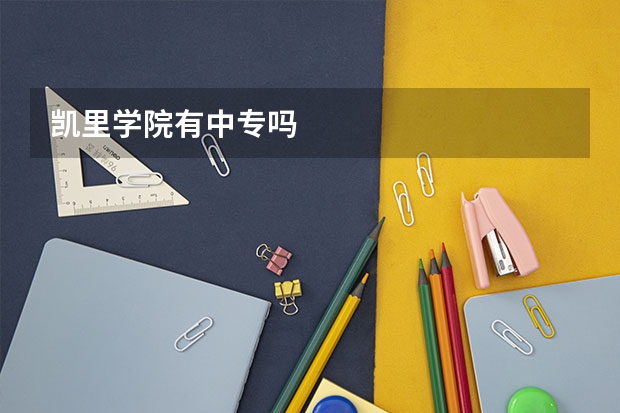 凯里学院有中专吗