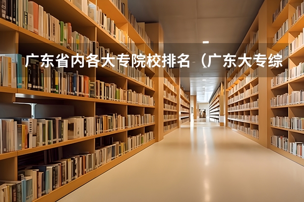 广东省内各大专院校排名（广东大专综合排名）