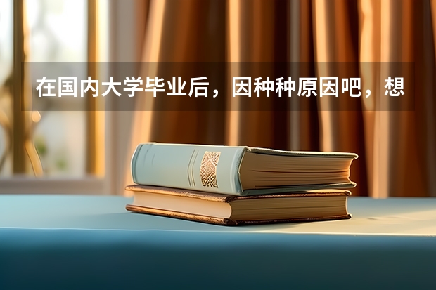 在国内大学毕业后，因种种原因吧，想去日本读个书法研究生继续深造，但不知回国后如何就业，就业形势如