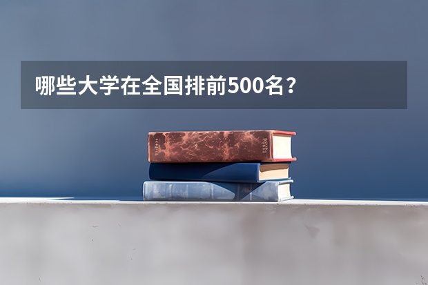 哪些大学在全国排前500名？
