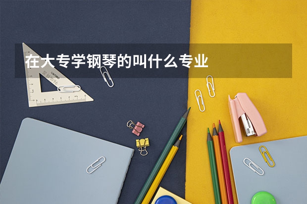 在大专学钢琴的叫什么专业