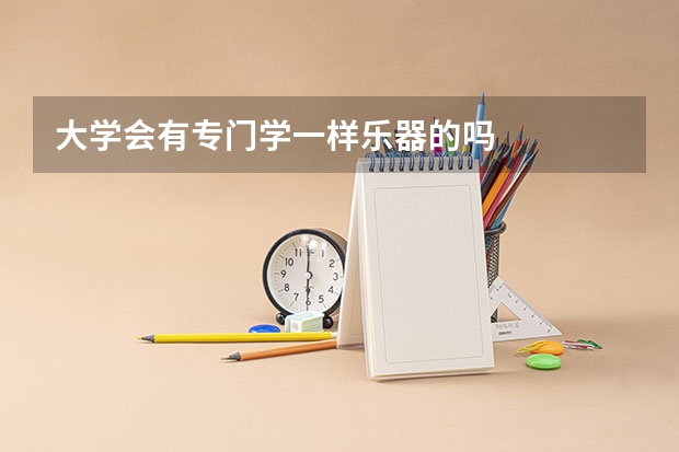 大学会有专门学一样乐器的吗