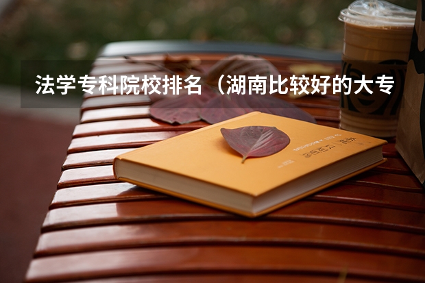 法学专科院校排名（湖南比较好的大专学校排名）
