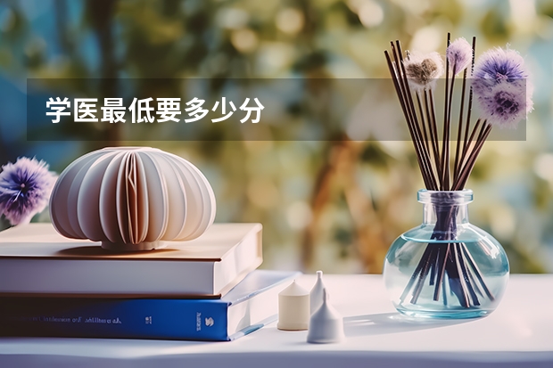 学医最低要多少分