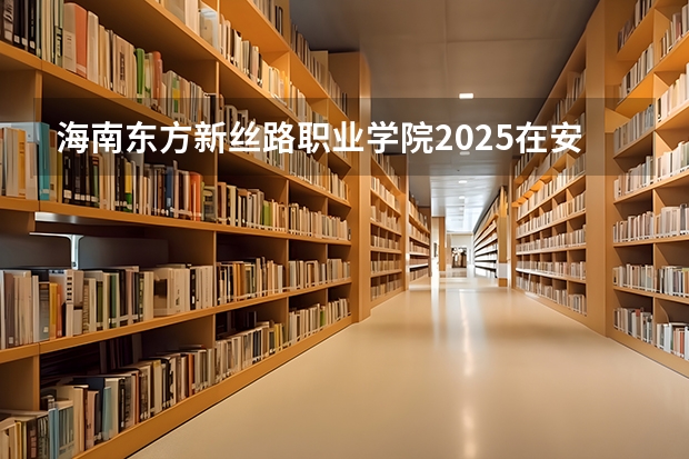 海南东方新丝路职业学院2025在安徽招生计划