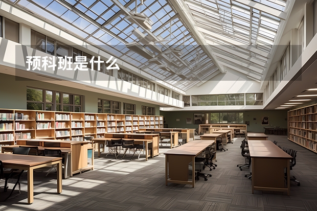 预科班是什么