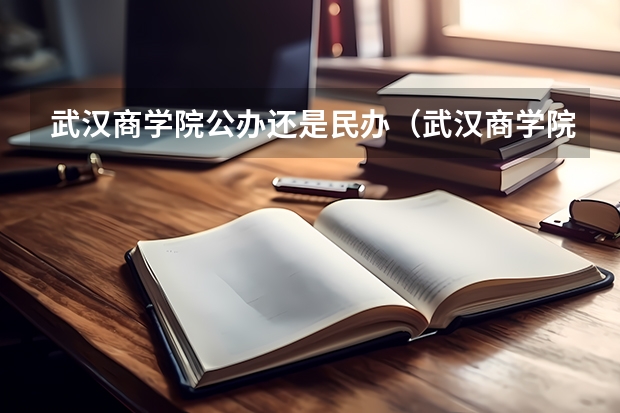 武汉商学院公办还是民办（武汉商学院介绍）