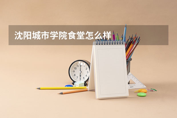 沈阳城市学院食堂怎么样