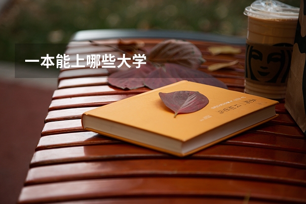 一本能上哪些大学