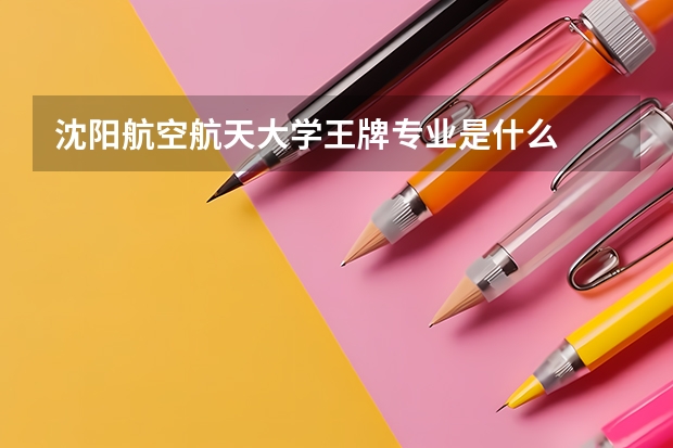 沈阳航空航天大学王牌专业是什么
