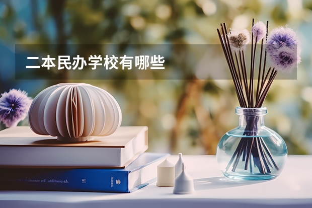 二本民办学校有哪些