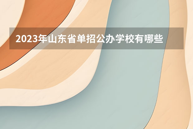 2023年山东省单招公办学校有哪些
