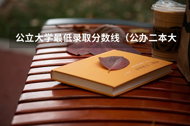 公立大学最低录取分数线（公办二本大学最低分）