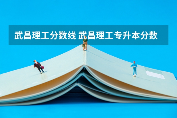 武昌理工分数线 武昌理工专升本分数线