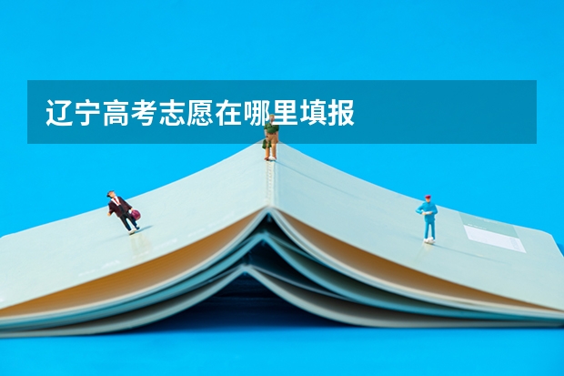 辽宁高考志愿在哪里填报