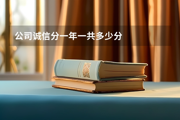 公司诚信分一年一共多少分