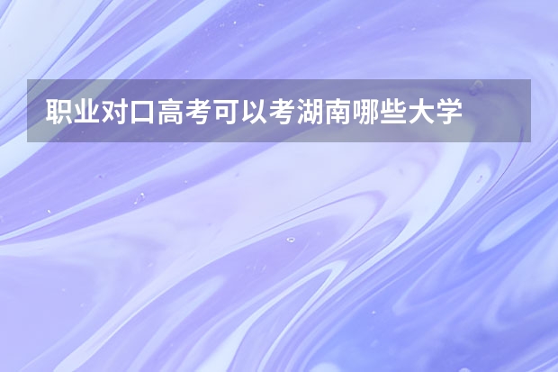 职业对口高考可以考湖南哪些大学