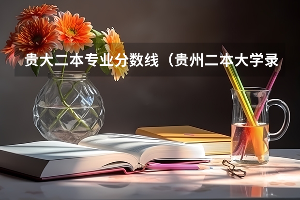 贵大二本专业分数线（贵州二本大学录取分数线）