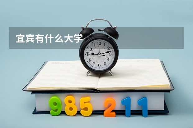 宜宾有什么大学
