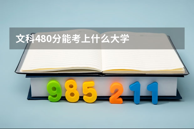 文科480分能考上什么大学