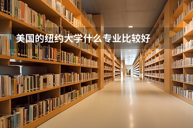 美国的纽约大学什么专业比较好