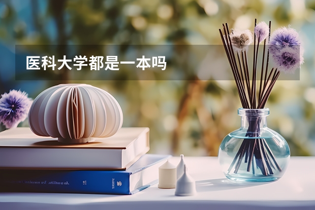 医科大学都是一本吗
