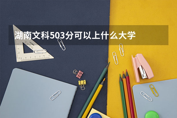 湖南文科503分可以上什么大学
