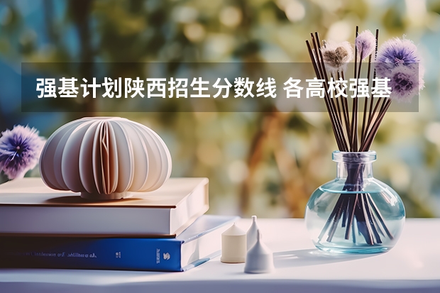 强基计划陕西招生分数线 各高校强基计划入围分数线