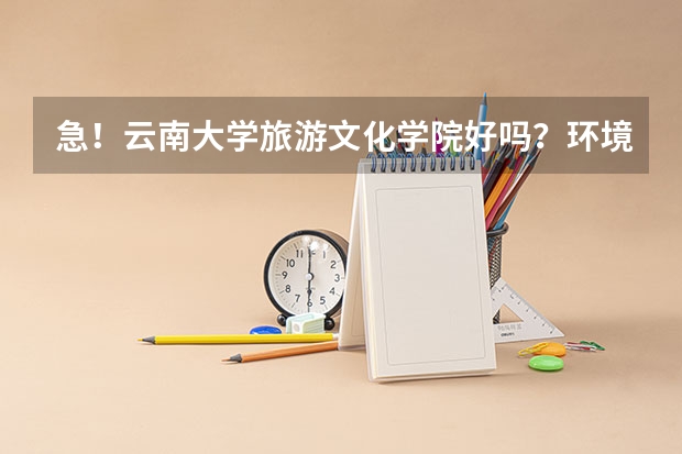 急！云南大学旅游文化学院好吗？环境好吗？公办还是民办的？文凭被承认吗？宿舍怎样？是三本吧？
