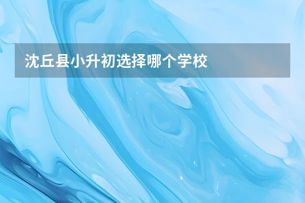沈丘县小升初选择哪个学校